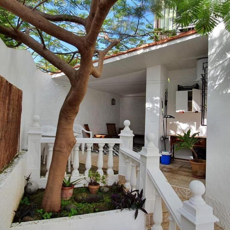 Apartamento Luminoso con Patio y Jardín - Apartamento de 1 dormitorio - 11