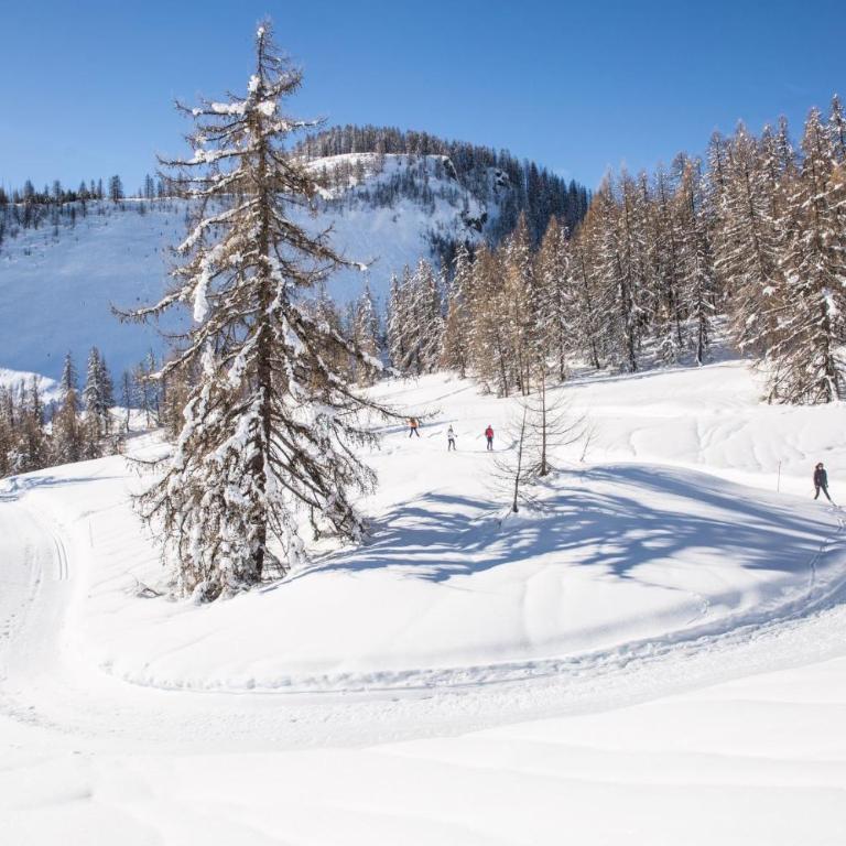 Appartement Puy-Saint-Vincent - Apartment mit 1 Schlafzimmer - 10