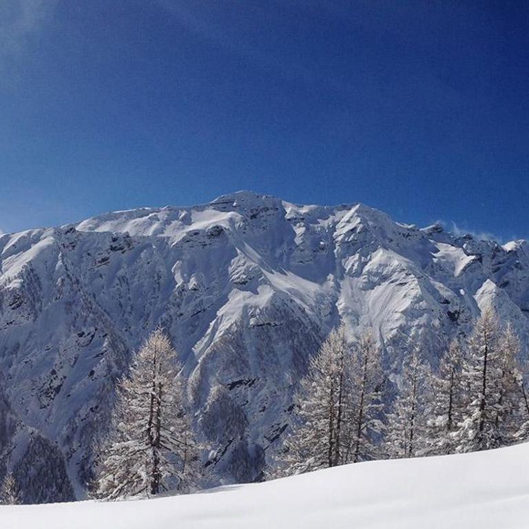 Appartement Puy-Saint-Vincent - Apartment mit 1 Schlafzimmer - 13