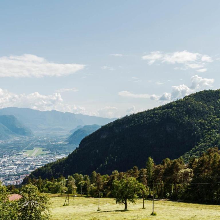 Haflingerhof - Apartment mit Blick auf die Berge - 4