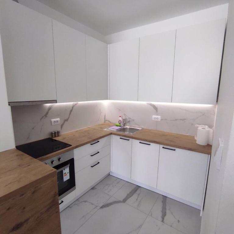 Apartman Milekic - Apartman sa 1 Spavaćom Sobom - 6