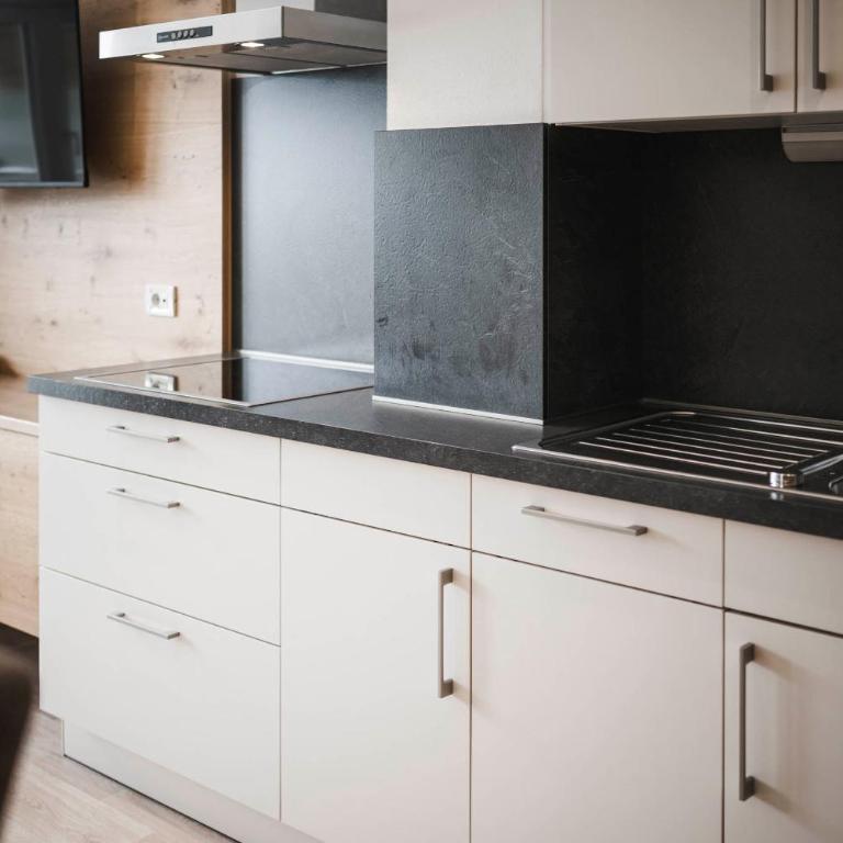 SomVita Suites - Apartment with one Bedroom and pull-out Couch - 2