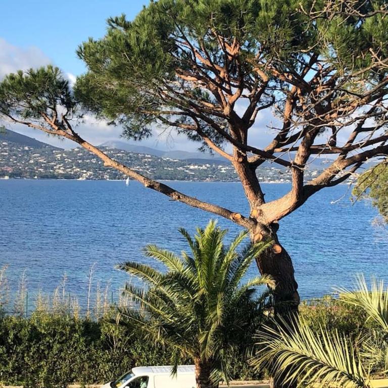 Villa CARIOCA St Tropez - Villa - 10