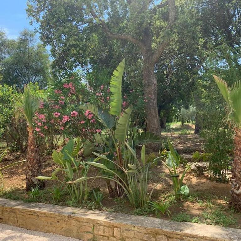 Villa CARIOCA St Tropez - Villa - 15