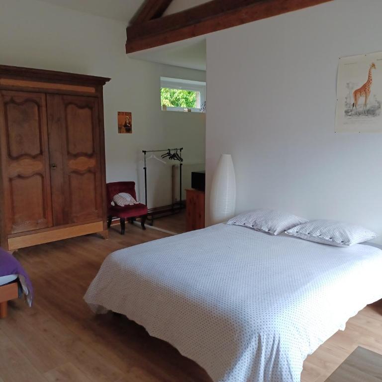 2 chambres au calme à la Maison des Bambous - Appartement 2 Chambres - 11