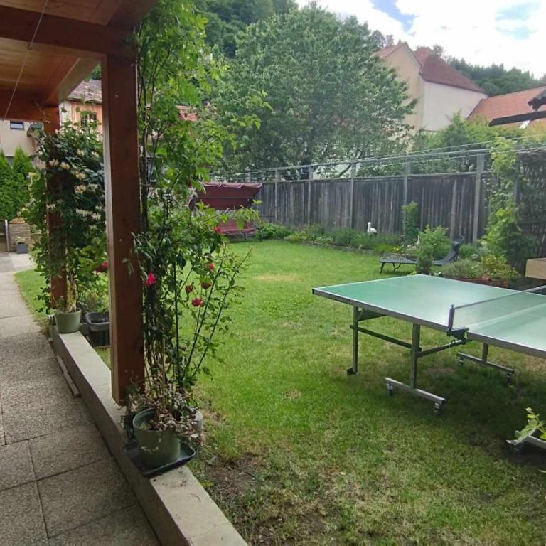 Steinadler Apartments Quiet Location Garden, Private Parking Pet Friendly - Appartement - Vue sur Jardin - 7