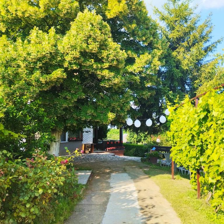 KosMaj Dan Belgrade, Sopot - Kuća sa 1 Spavaćom Sobom - 39