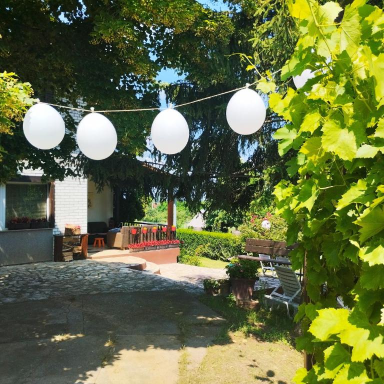 KosMaj Dan Belgrade, Sopot - Kuća sa 1 Spavaćom Sobom - 57