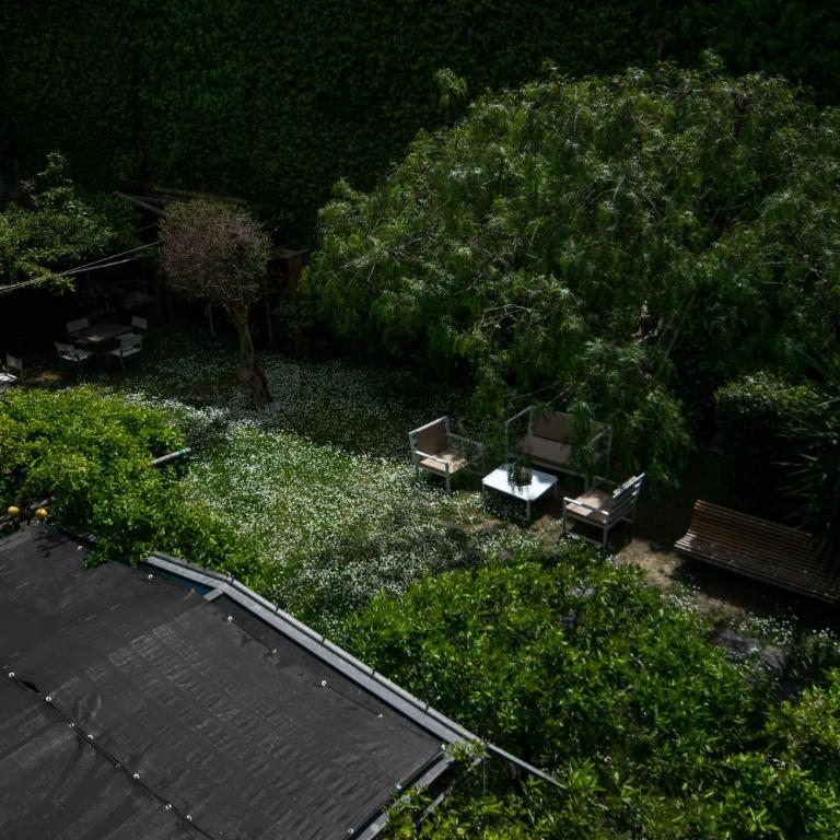 Hotel Forum - Suite Executive - 2
