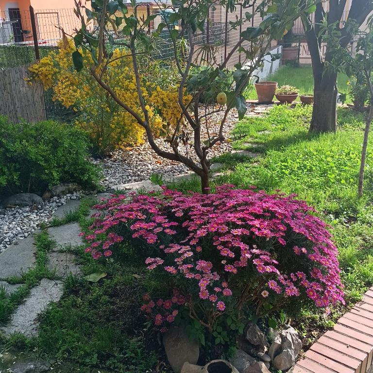 Ninfea Apartment Superior - Appartamento con 3 Camere da Letto - 34
