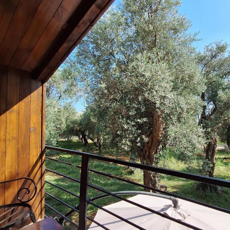 Coratina Cottage - Kuća sa 1 Spavaćom Sobom - 7