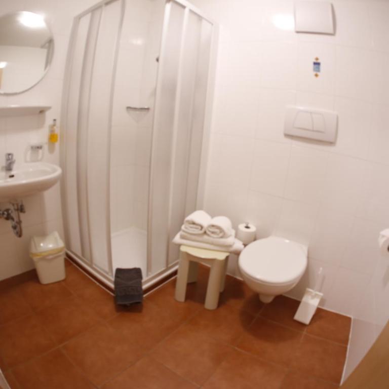 Almhotel Bergerhof - Economy Doppelzimmer - 6
