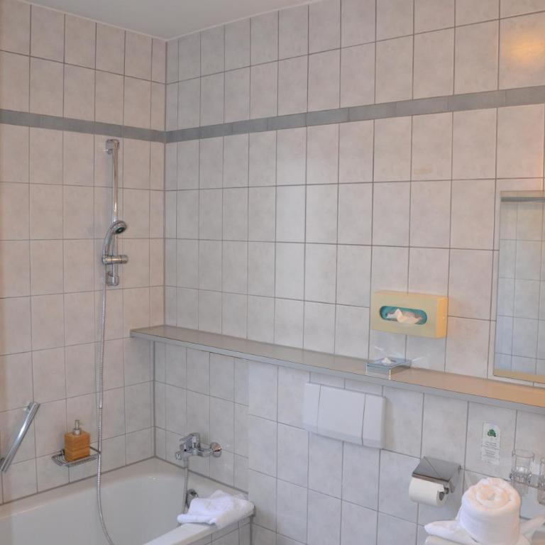 Hotel Alpina nature-wellness - Comfort Doppelzimmer - 4