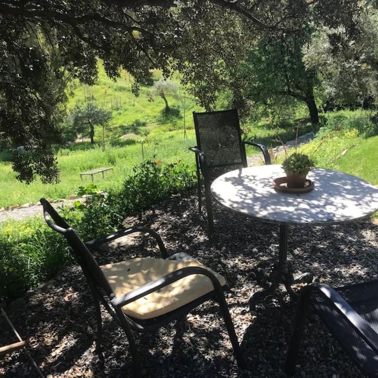 Penthouse Apartment, Cortijo Fruitful HIlls - Apartamento de 1 dormitorio - 23