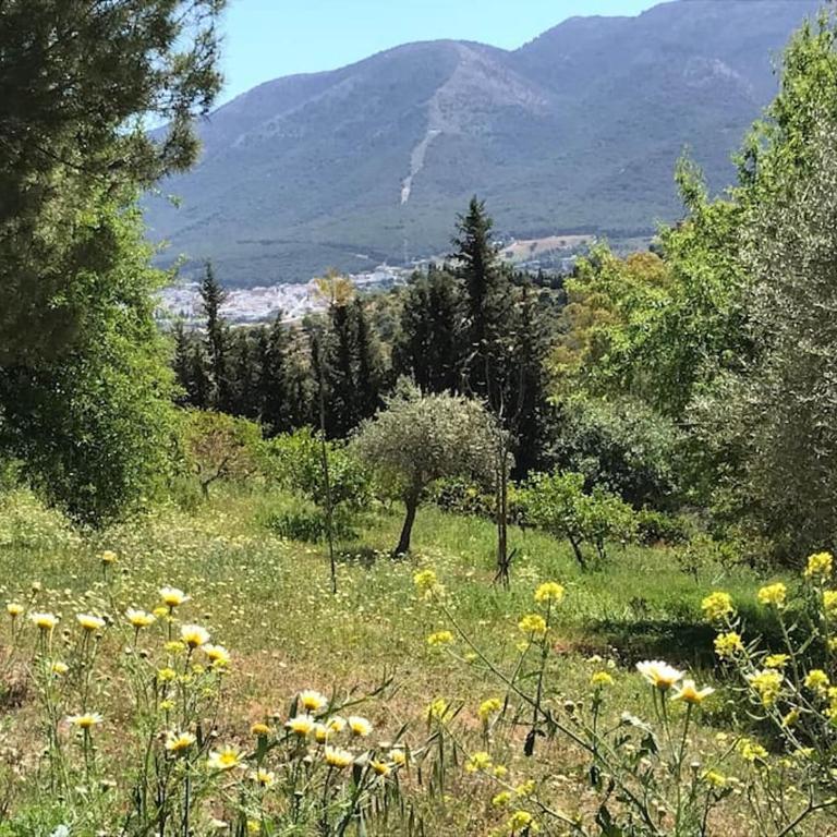 Penthouse Apartment, Cortijo Fruitful HIlls - Apartamento de 1 dormitorio - 24