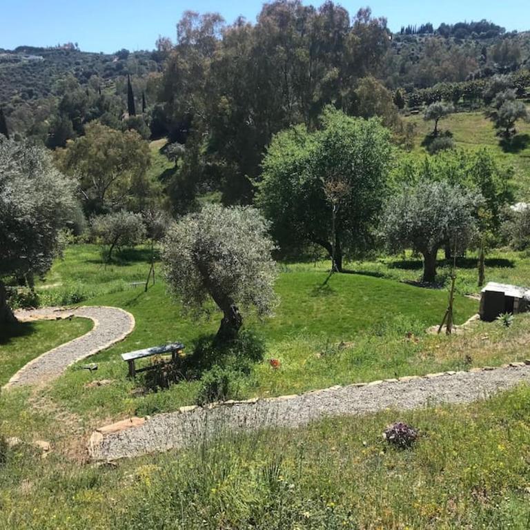 Penthouse Apartment, Cortijo Fruitful HIlls - Apartamento de 1 dormitorio - 28