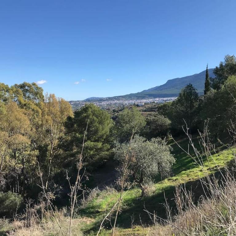 Penthouse Apartment, Cortijo Fruitful HIlls - Apartamento de 1 dormitorio - 32