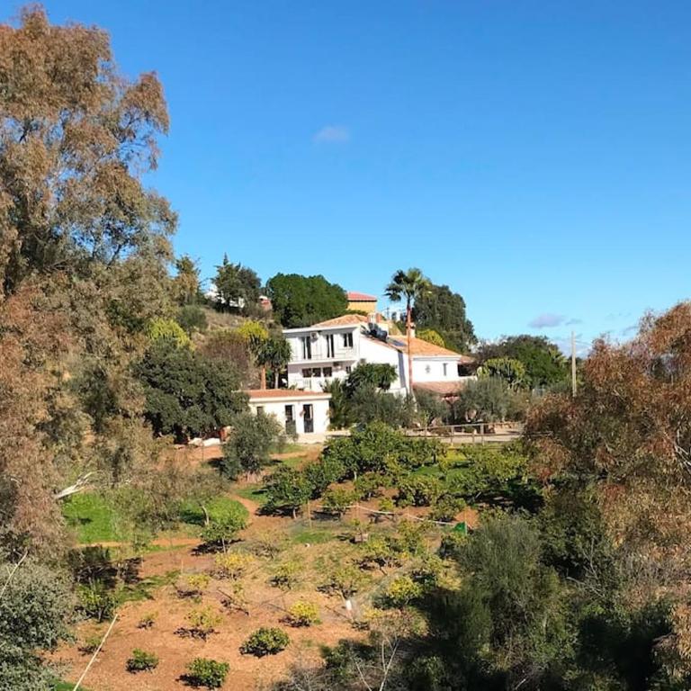 Penthouse Apartment, Cortijo Fruitful HIlls - Apartamento de 1 dormitorio - 36