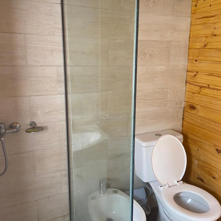 Cabañas del Nebel - Two-Bedroom Apartment - 4