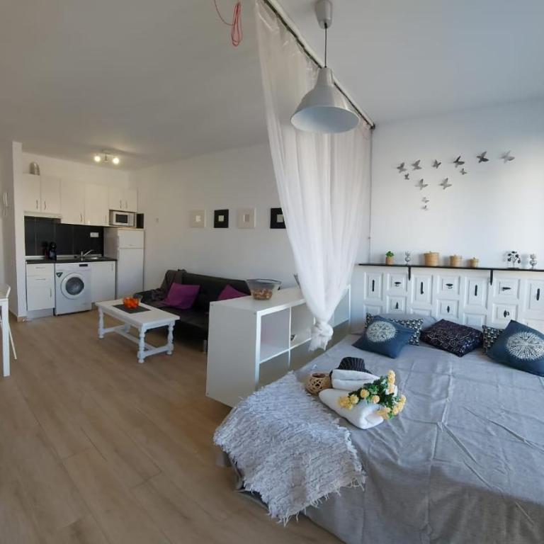Estudios Center - Apartamento Estudio - 10