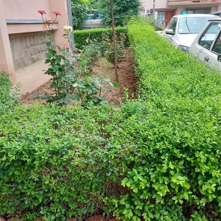 Studio Apartman HERA - Apartman sa 1 Spavaćom Sobom - 23