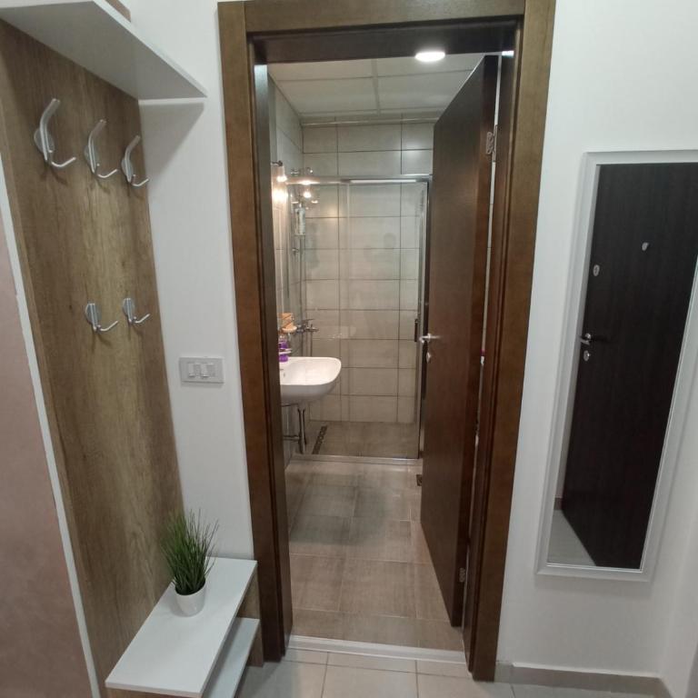 Apartman Zara - free private parking - - Apartman sa 1 Spavaćom Sobom - 10