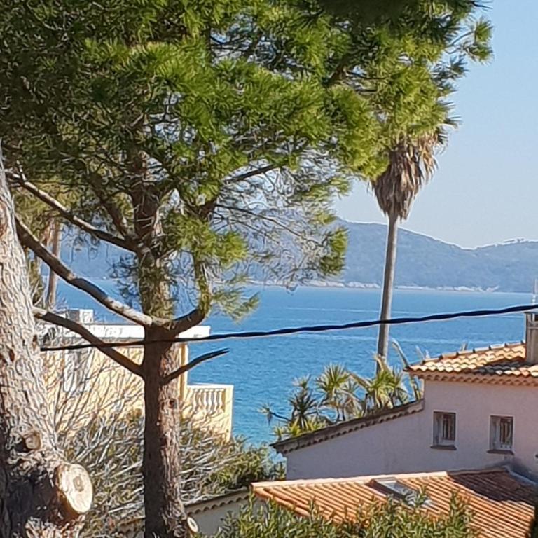Superbe appartement cosy vue mer pieds dans l’eau - Apartamento con vistas al mar - 2