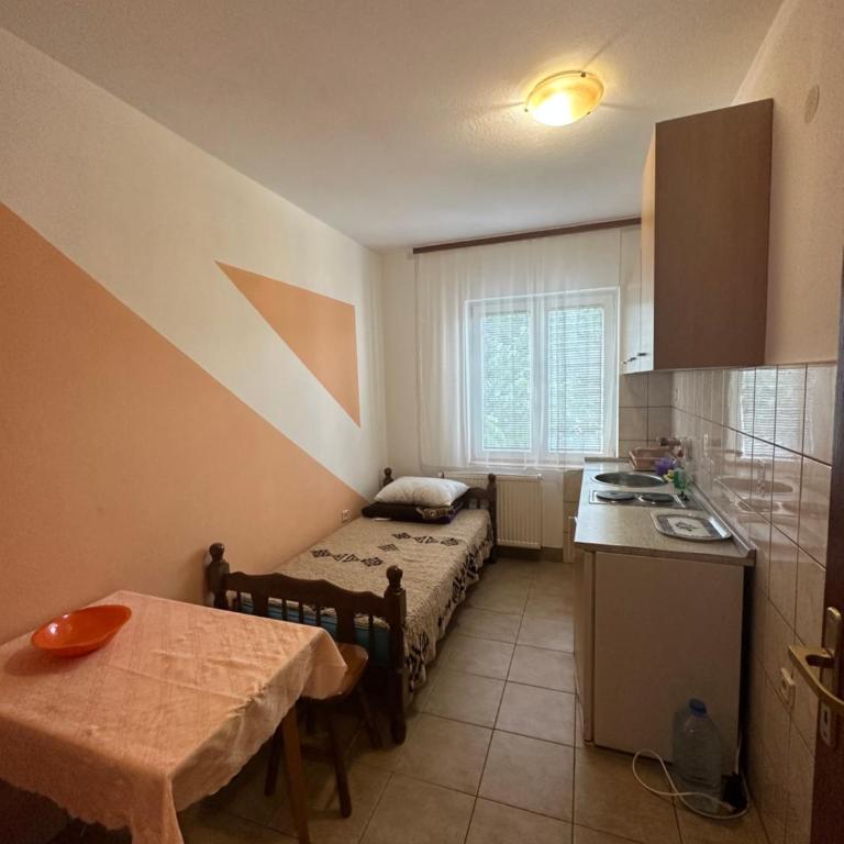 Apartments Božinović - Apartman sa Pogledom na Planinu - 8