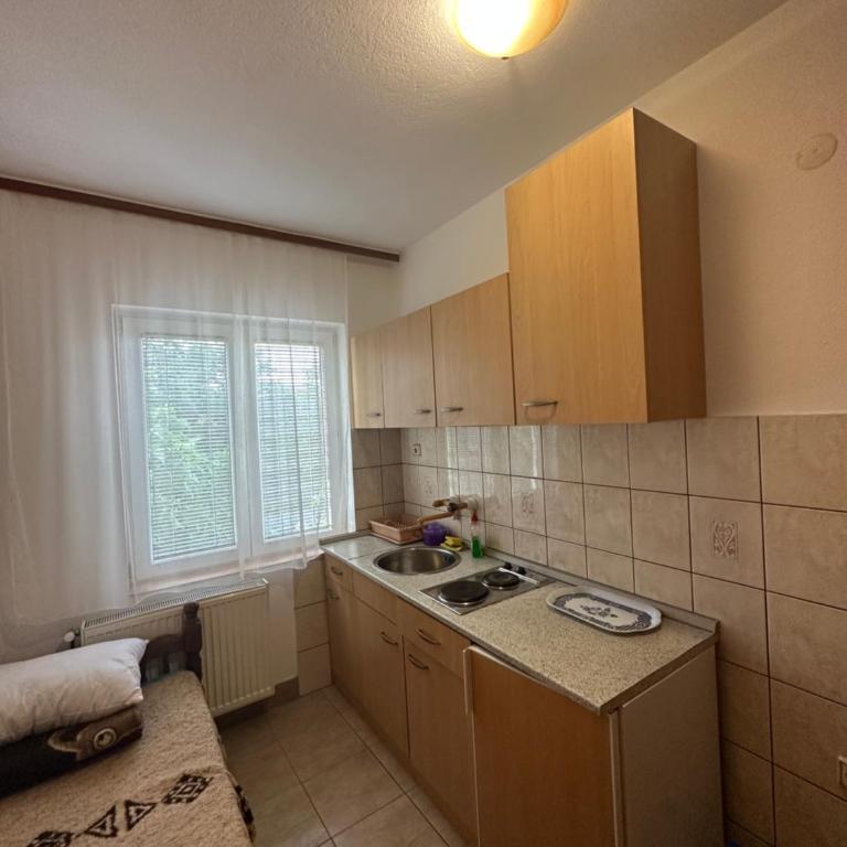 Apartments Božinović - Apartman sa Pogledom na Planinu - 5