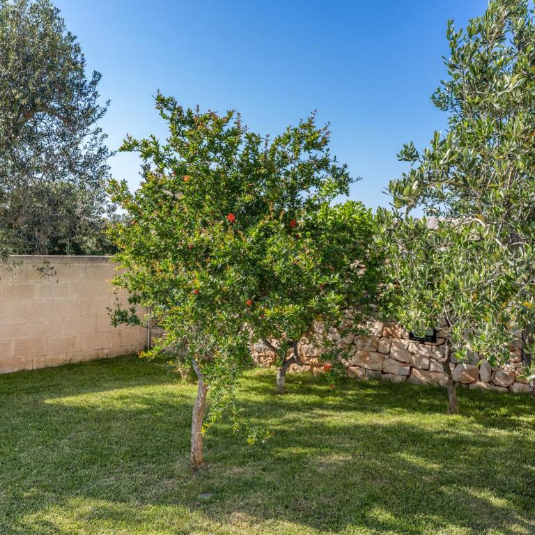 Ostuni Dimore Aurea - Suite with Garden View - 11