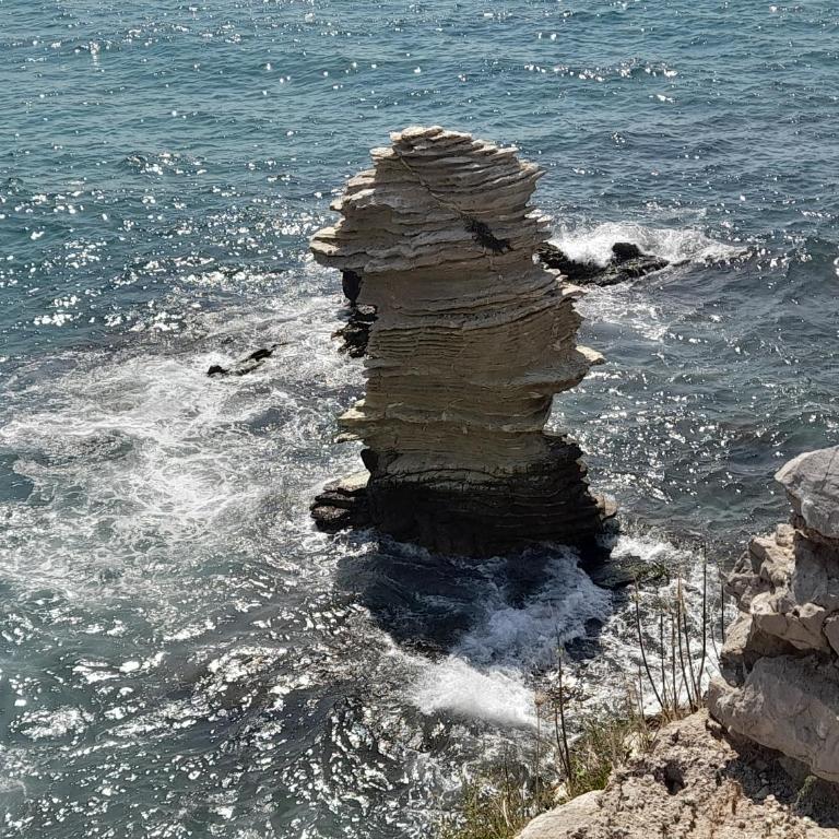 Les Voiles - Appartamento Superior - 36