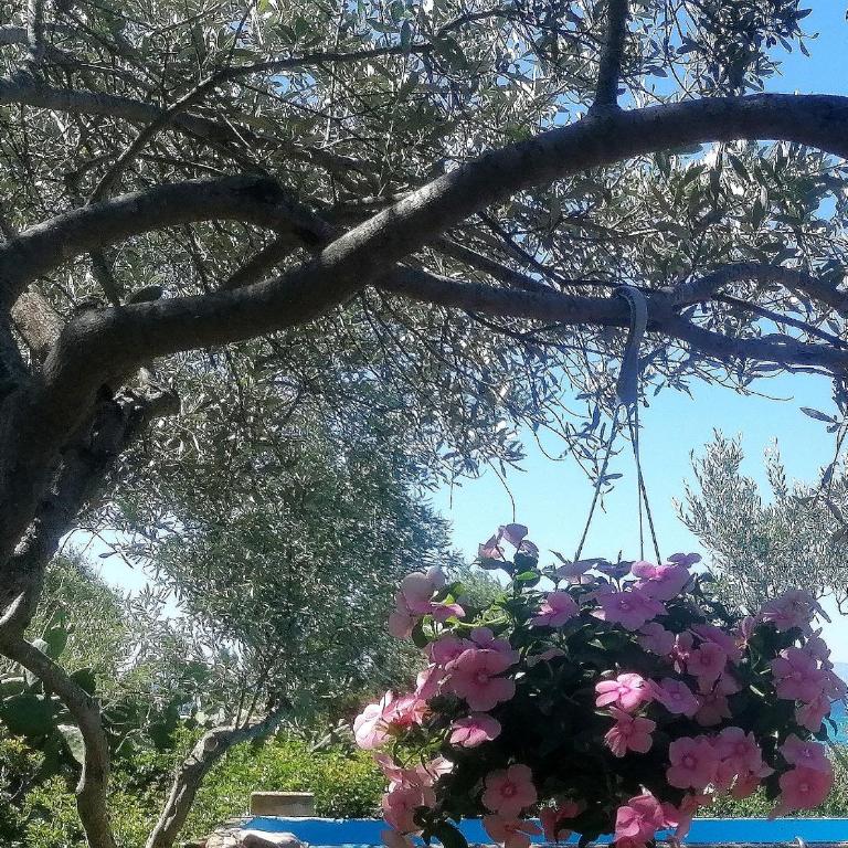 Splendida villa in riva al mare- - Villa Fronte Spiaggia - 51