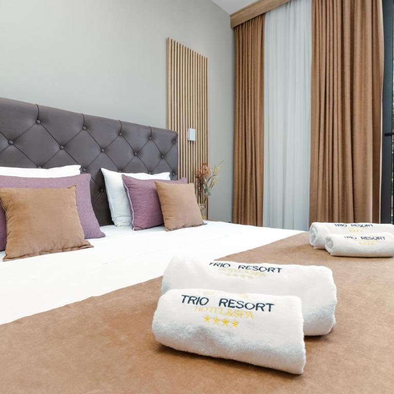 Trio Resort - Dvokrevetna Soba sa Bračnim Krevetom i Pogledom na Bazen - 10
