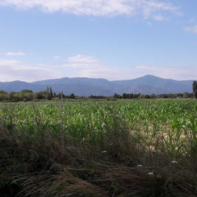 Superbe T3 récent 67 m2, gde terrasse, 3km plage, vue Canigou, parking et box privatif - Appartamento con 2 Camere da Letto - 15