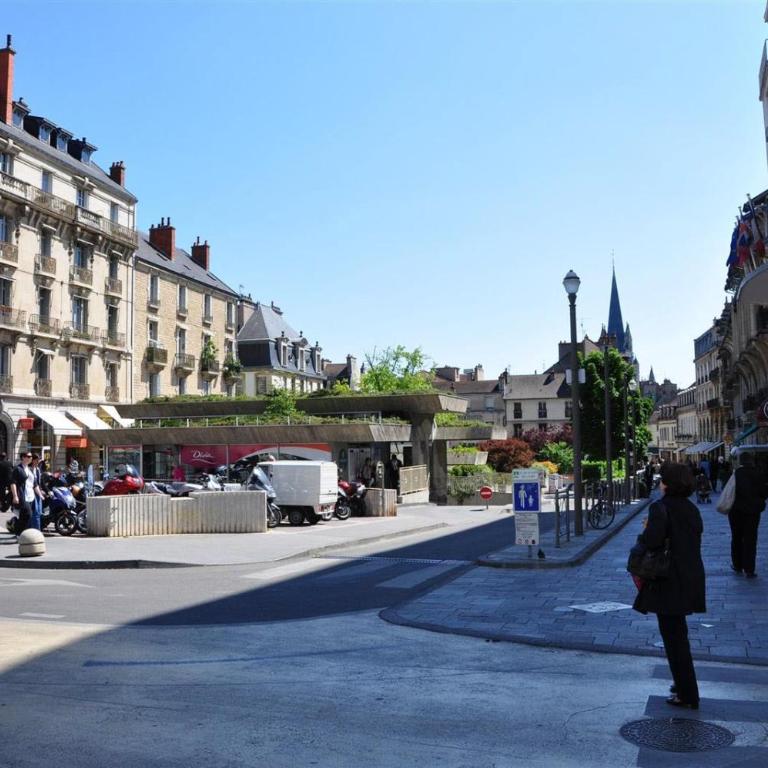 Le Darcy, grand appartement centre ville Dijon, proche gare - Appartement 1 Chambre - 4