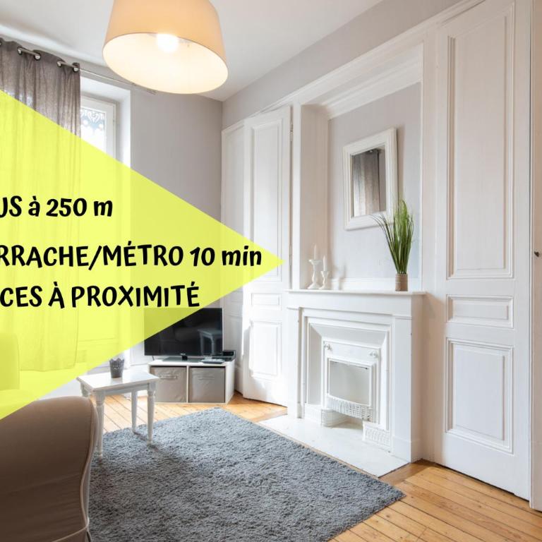 Le Nid Lyonnais - Le Vienne - Appartement - 1