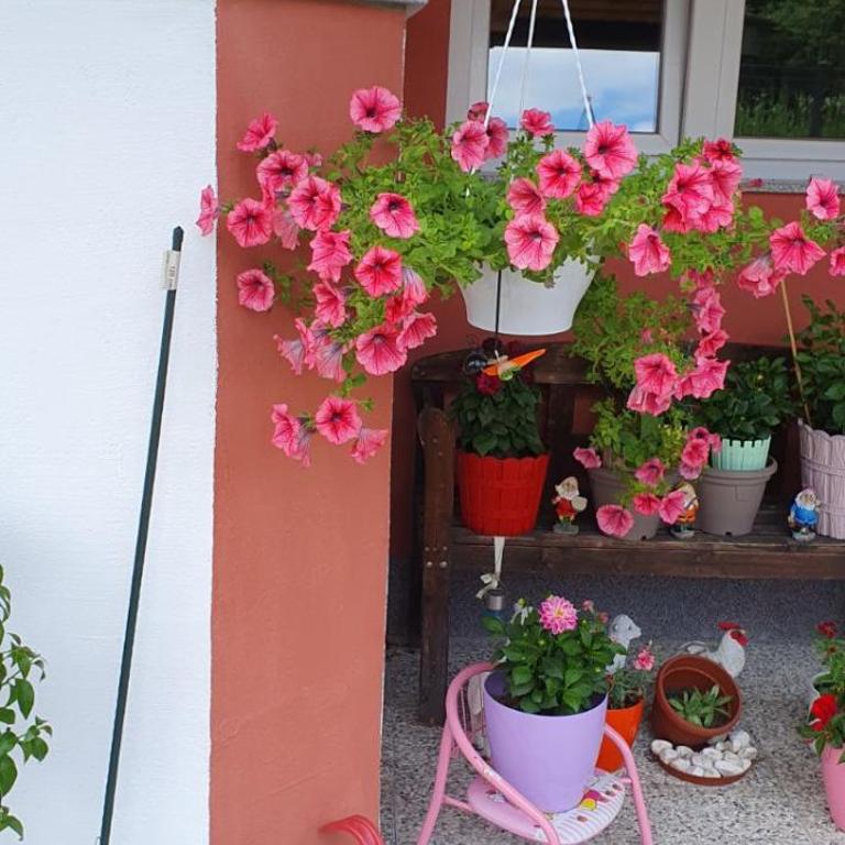 Apartman Leon - One-Bedroom Apartment - 39