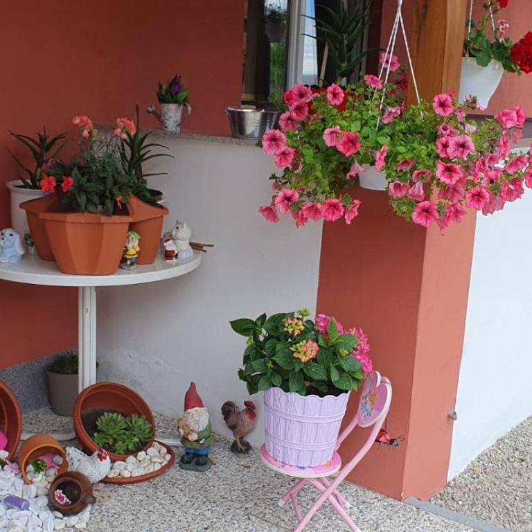 Apartman Leon - One-Bedroom Apartment - 45