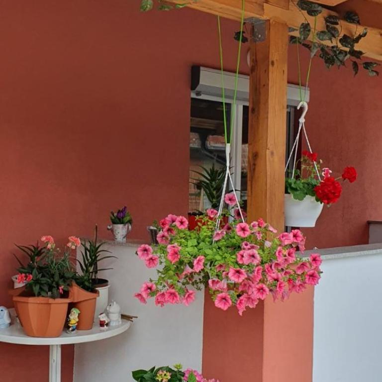 Apartman Leon - One-Bedroom Apartment - 43