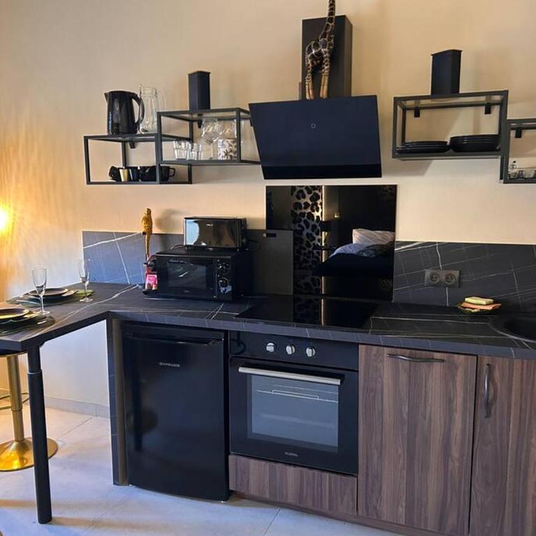 Esprit AFRICA, SPA et SAUNA de luxe - Appartement 1 Chambre - 7