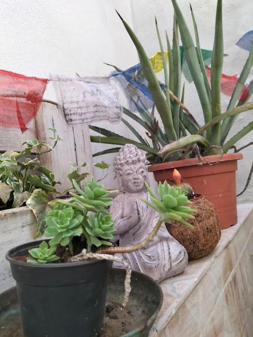 Casa Marta - Appartamento con 2 Camere da Letto - 9