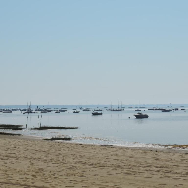 Mobil home avec terrasse - proche plages Cap-Ferret - 4-6 pers Camping 4 étoiles Les Viviers - Mobilheim - 10