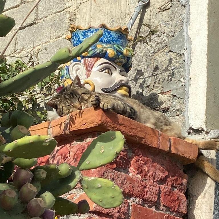 Casa Leto - Appartamento con Terrazza - 24