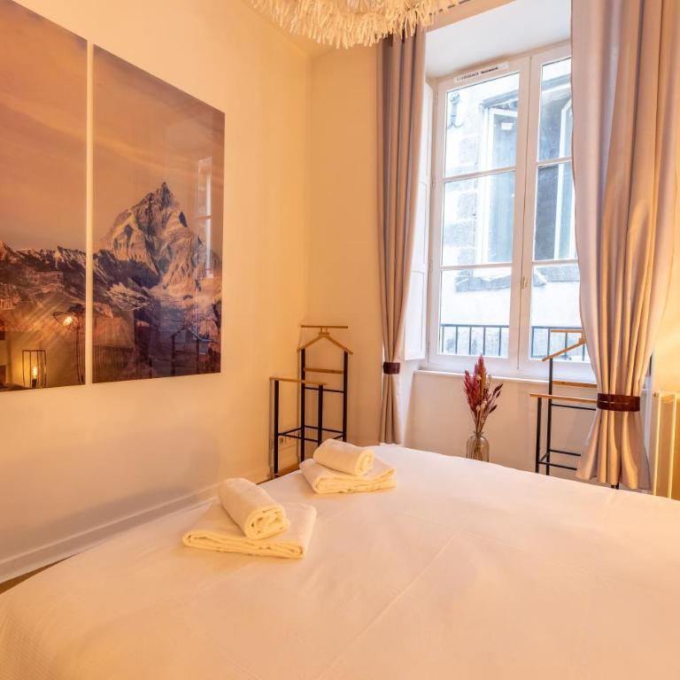MONT CERVIN Standing & Central - Appartement 1 Chambre - 10
