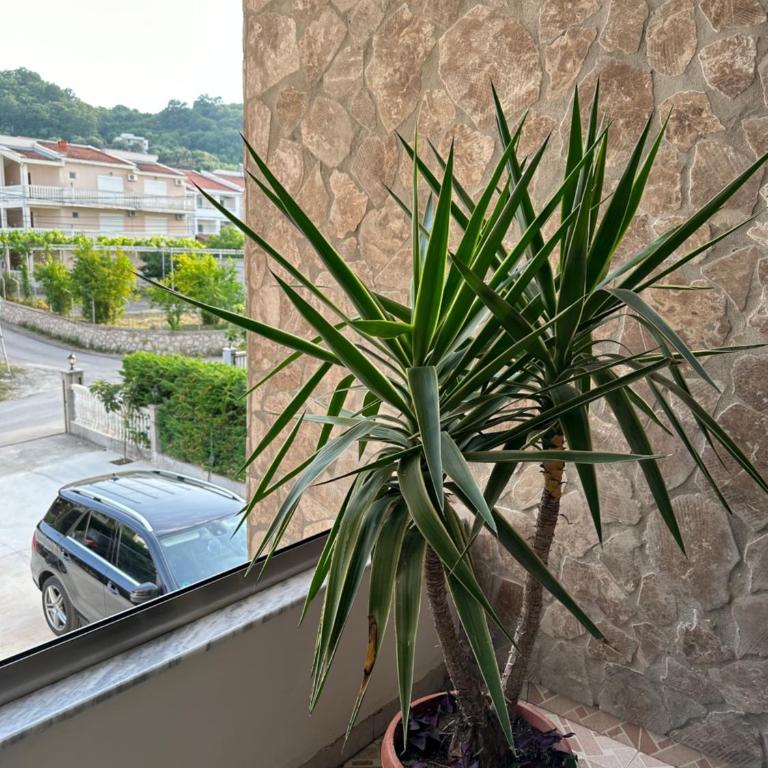 Apartments Sella - Apartman - 2