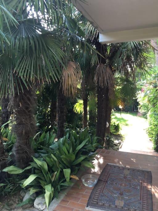 Casa Paola Exclusive Seafront Villa 240 smq, garden 600 sqm - Villa frente a la playa - 65
