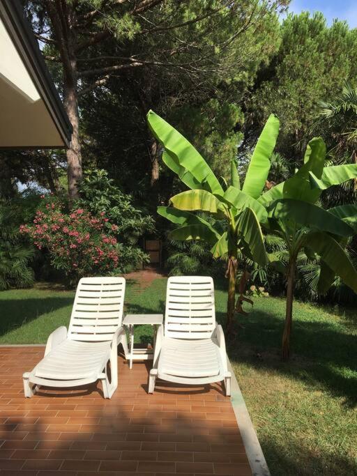 Casa Paola Exclusive Seafront Villa 240 smq, garden 600 sqm - Villa frente a la playa - 67