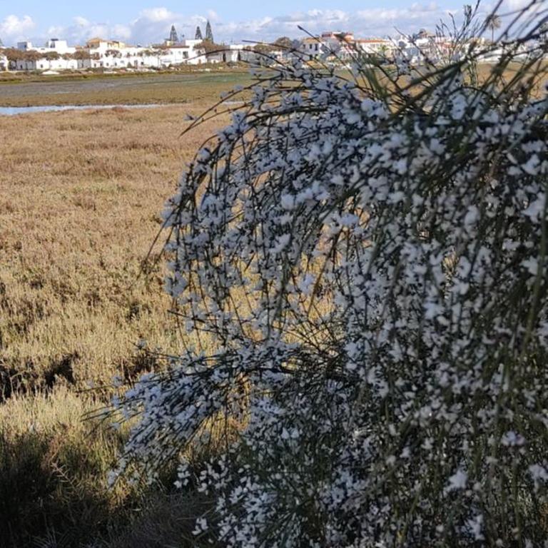 Duplex Ayamonte - Two-Bedroom Apartment with Terrace - 26