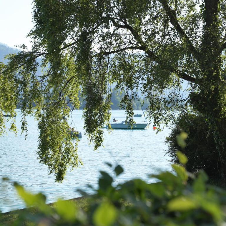 Bergblick 411 am Wolfgangsee - Apartment with Mountain View - 66