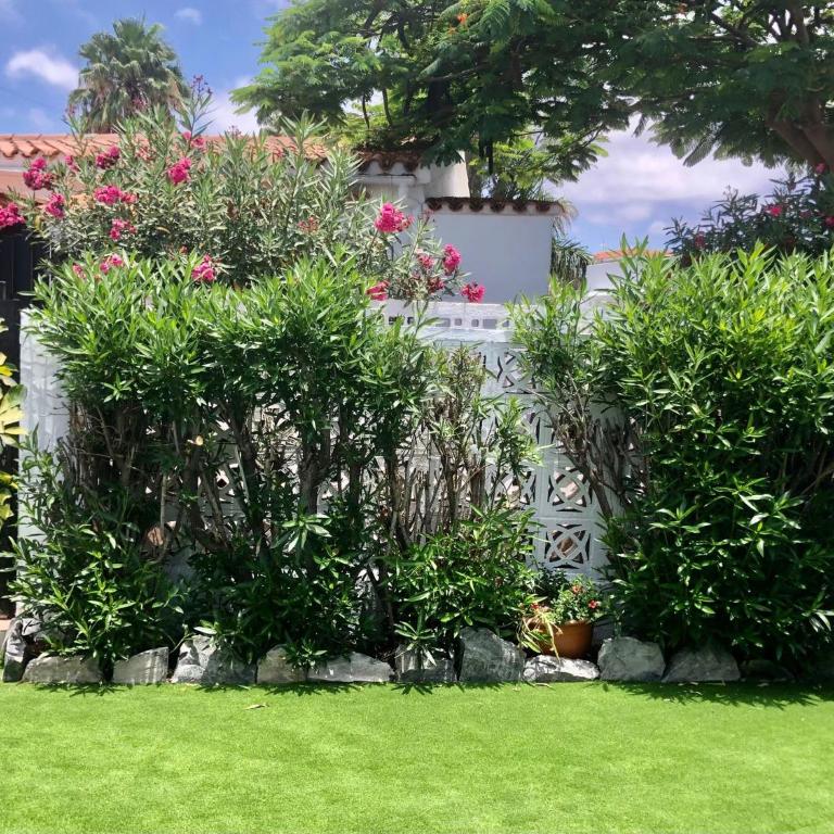 Santa Clara Bungalows - Bungalow de 3 dormitorios - 19